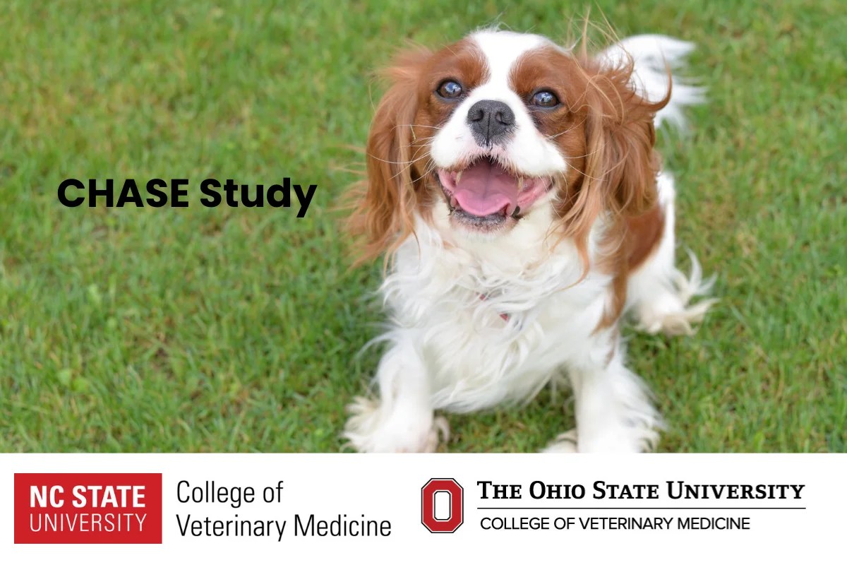 Chase Study TriviumVets